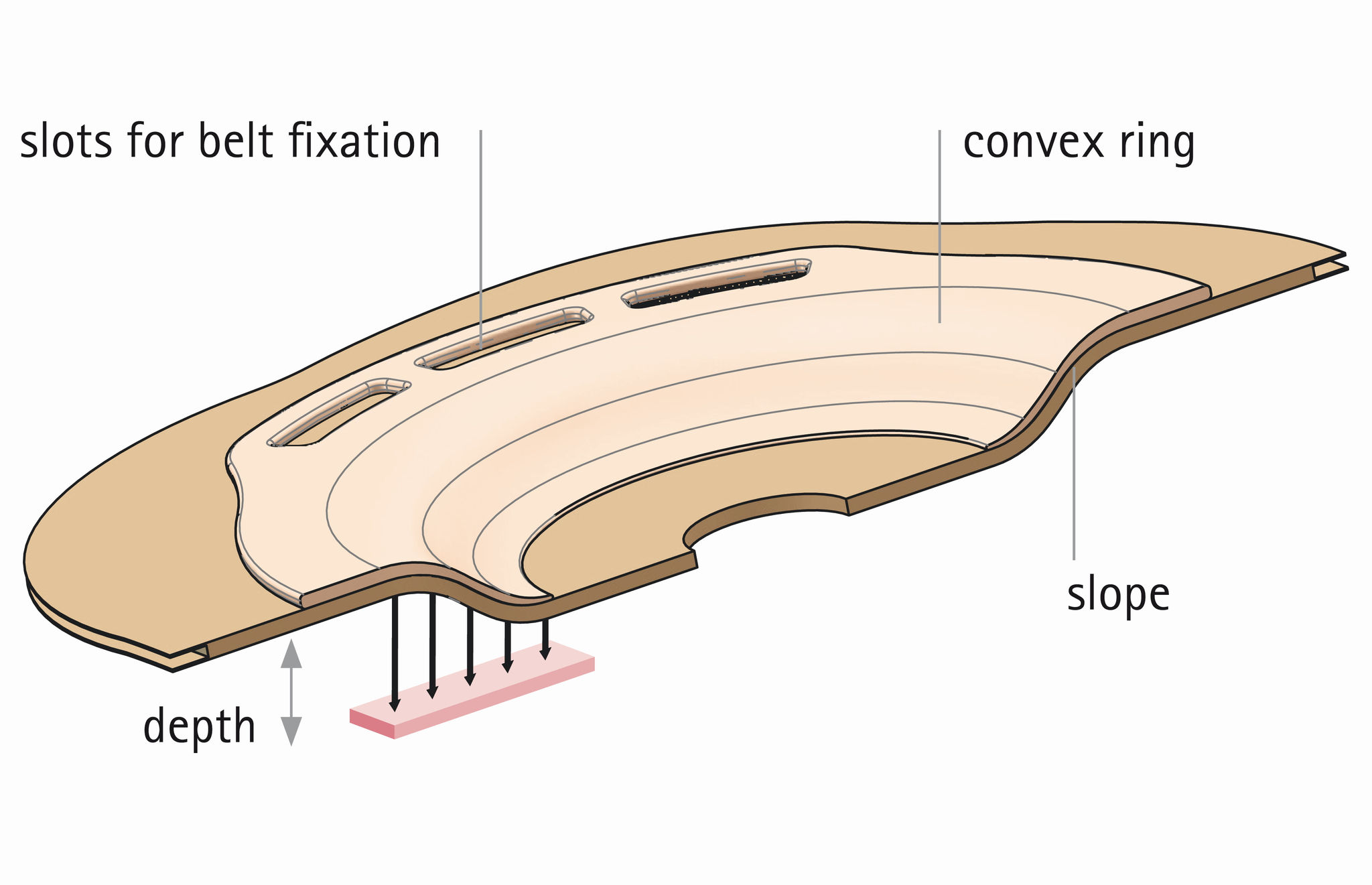 Illustration de la section convexe d’une plaquette avec description